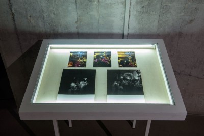 Barbara Kozłowska. wszystko to możesz zobaczyć gdziekolwiek - wystawa