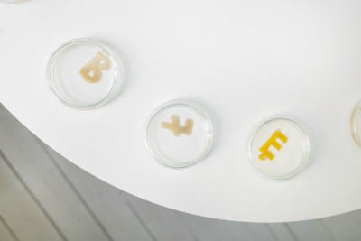 Barbara Maroń. A Story Within a Story