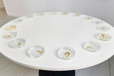 Barbara Maroń. A Story Within a Story