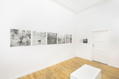 Czym jest dzieła mniej, tym lepszy efekt. Liliana Lewicka