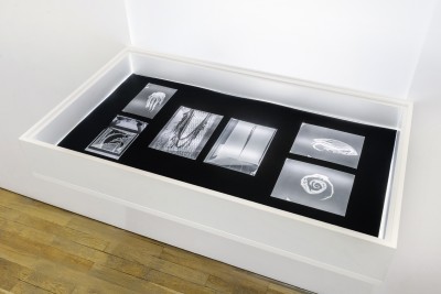 Jagoda Przybylak: „...trzeba zobaczyć”