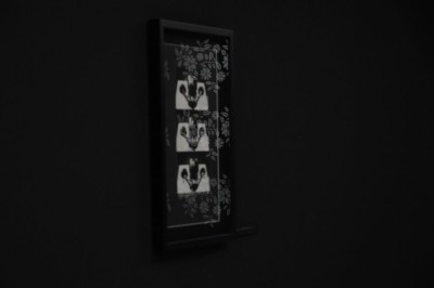 Jolanta Marcolla. Własny pokój