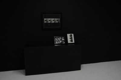 Jolanta Marcolla. Własny pokój