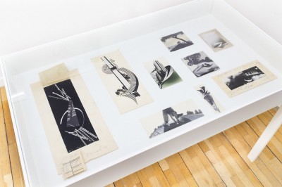 Kim jest Janina Węgrzynowska?