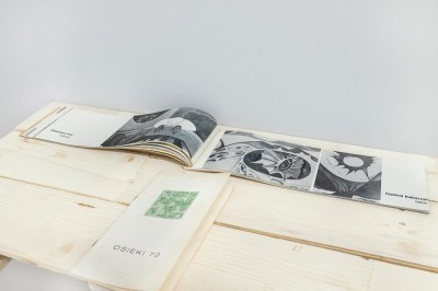 Na świeżym powietrzu? Pierwsze działania ekologiczne w czasie plenerów artystycznych w Polsce