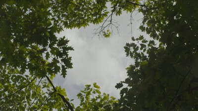 Patrząc na Alpha Ursae. Andrzej Jórczak - film