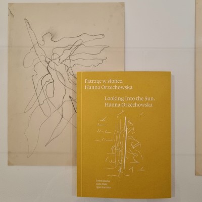 Patrząc w słońce. Hanna Orzechowska - książka