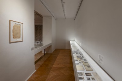 Patrząc w słońce. Hanna Orzechowska