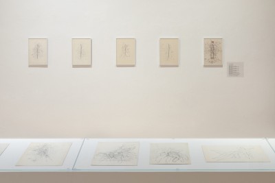 Patrząc w słońce. Hanna Orzechowska