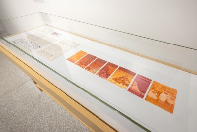 Places for Deliberation. Barbara Kozłowska