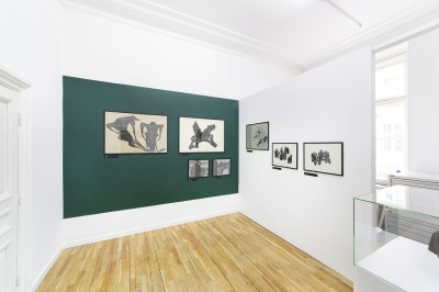 Siostry: Alicja i Bożena Wahl