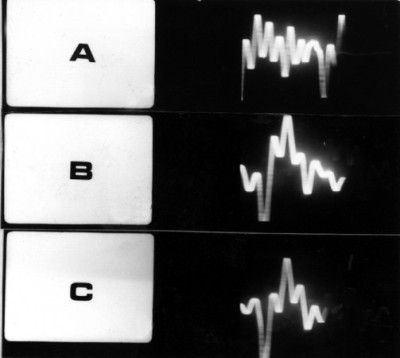 Warsztat Formy Filmowej