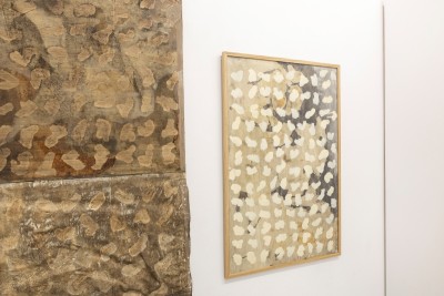 Wyrosłe w miłości: Liliana Mikołajewska-Jansen