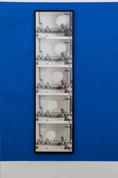 Zdzisław Jurkiewicz. Sun in the Kitchen