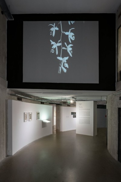 Zdzisław Jurkiewicz. Zdarzenia